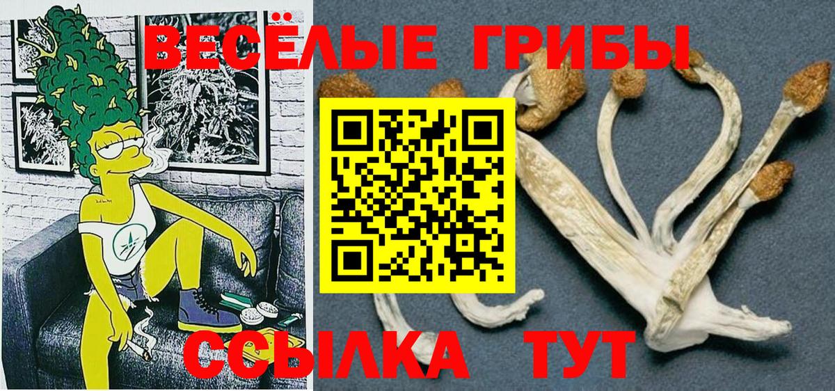 Псилоцибиновые грибы прущие грибы Богородицк